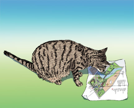 Betty the cat with a map