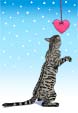 Valentine Betty