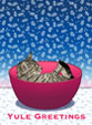 Betty the cat 2008